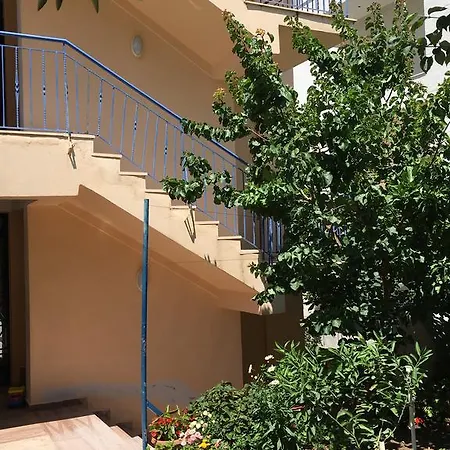 Pensión Lemon Tree 3*